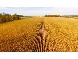 Property photo 29 - MAJOR LAND AUCTION - 315+/- ACRES IN 16 TRACTS - 6 PROPERTIES IN WHITLEY & ALLEN COUNTIES, INDIANA